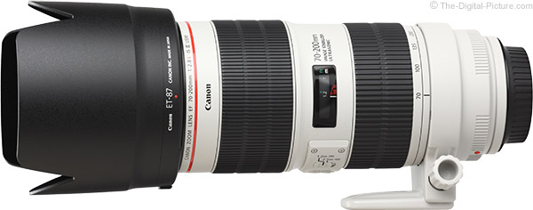 Canon 70-200 mm